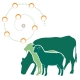 MinPro300 sustains ruminants in dry seasons