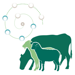 MinPro500 for the critical growth stages of ruminants