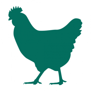 Organic Chicken Feed