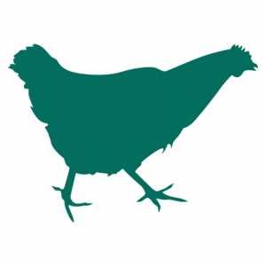 Vegetarian Poultry feed