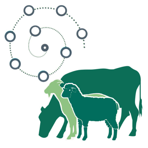 MinPro Maximise mineral supplement for cattle, sheep and goats