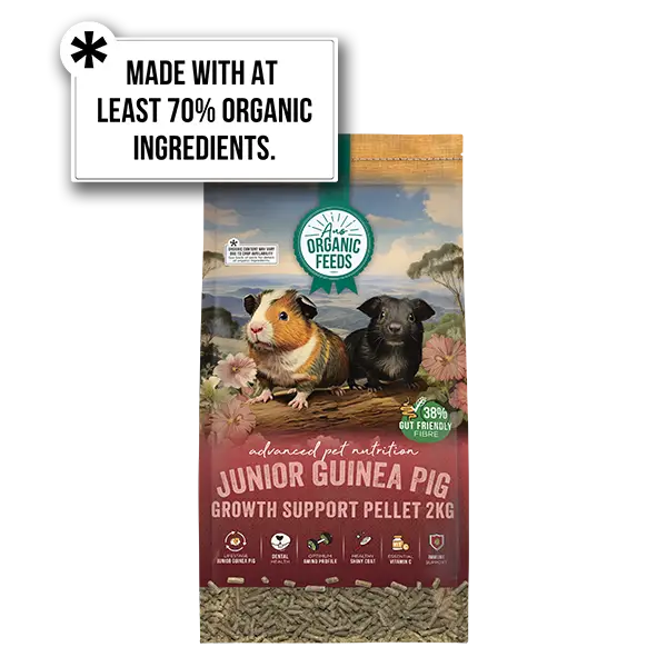 AOF Feed for Growing Guinea Pigs is made with 70% organic ingredients
