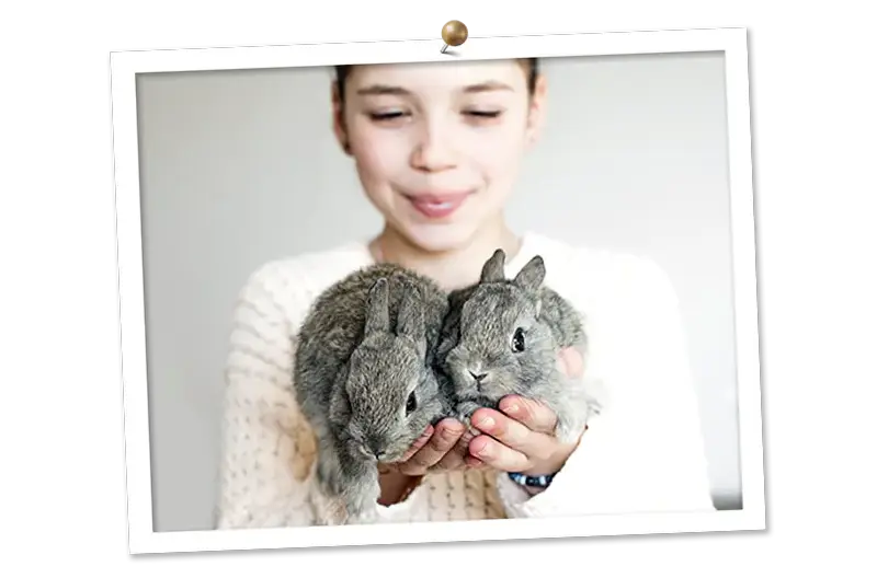 How to feed rabbits